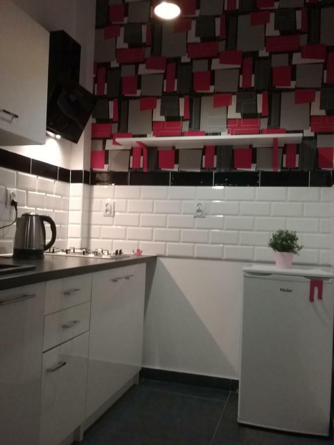 Vintage - Rose Apartament Stary Toruń Extérieur photo