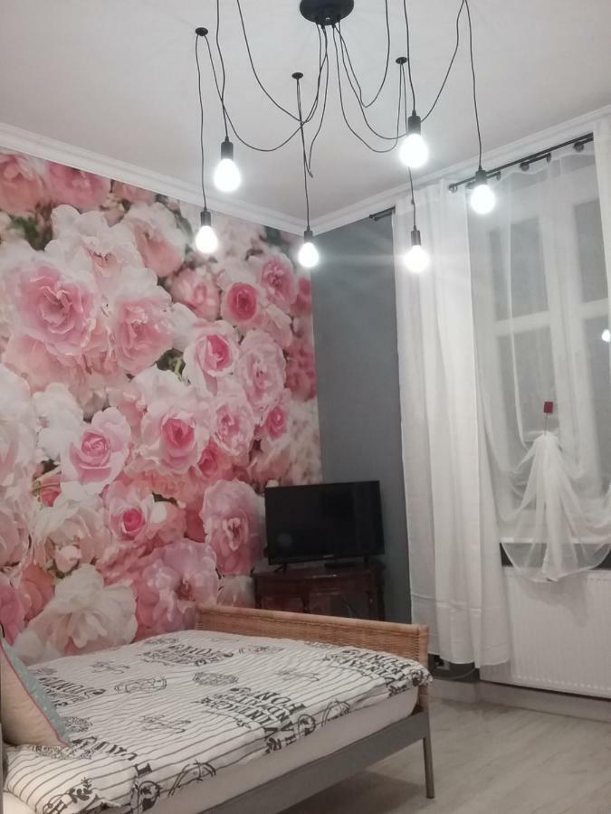 Vintage - Rose Apartament Stary Toruń Extérieur photo